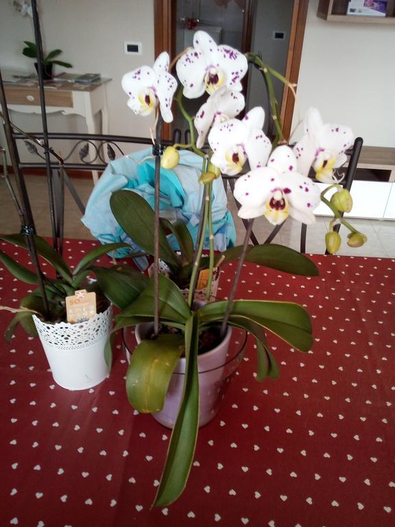 L'Orchidea Di Ale Bed and Breakfast Tivoli Terme Εξωτερικό φωτογραφία