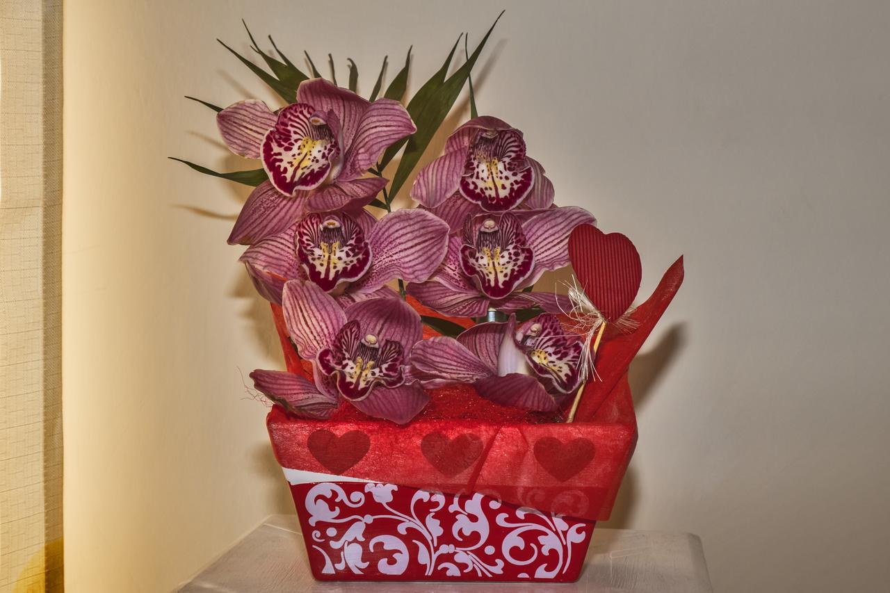 L'Orchidea Di Ale Bed and Breakfast Tivoli Terme Εξωτερικό φωτογραφία